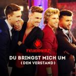 18-08-2015 - pressepromo - Feuerherz.jpg